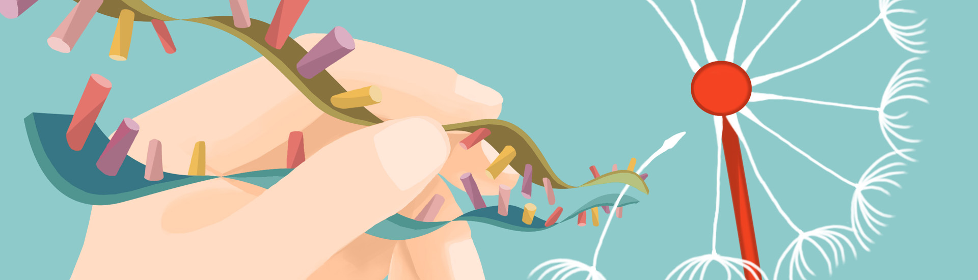 通過膠質(zhì)細胞向神經(jīng)元轉(zhuǎn)分化治療神經(jīng)性疾病的基礎(chǔ)研究取得重要進展